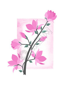 矢量大型花朵插图带水彩色框架的粉红花朵春季木兰枝树背景图片