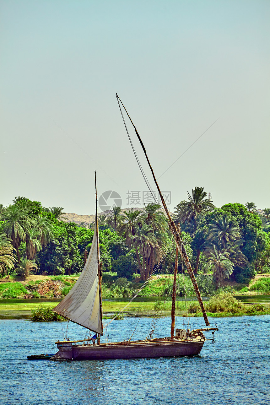 埃及尼罗河上的传统船图片