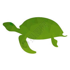 龟形目白背景孤立的海洋绿龟图标海洋形简单动物标准海洋绿龟图标背景