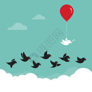 团队飞翔鸟儿在天空中飞翔矢量卡通插图插画
