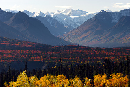 山传入登那利脉后退阿拉斯加的秋季图片