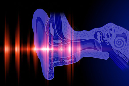 音频矢量听到声波的音人类听力的概念形象背景