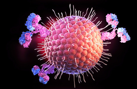 带状疱疹病毒和抗体3D插图背景