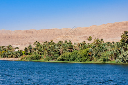 埃及尼罗河上的生活图片