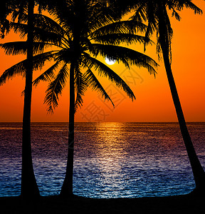 日落风景海滩图片