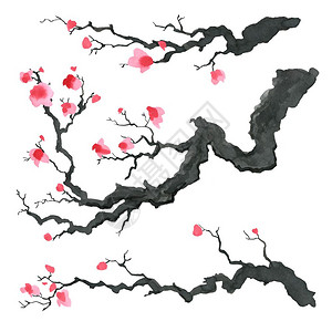 樱花水彩日本绘画风格的樱树传统美丽的水彩手画图日本风格的樱树水彩画图背景
