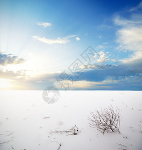 冬天平原自然的构成图片