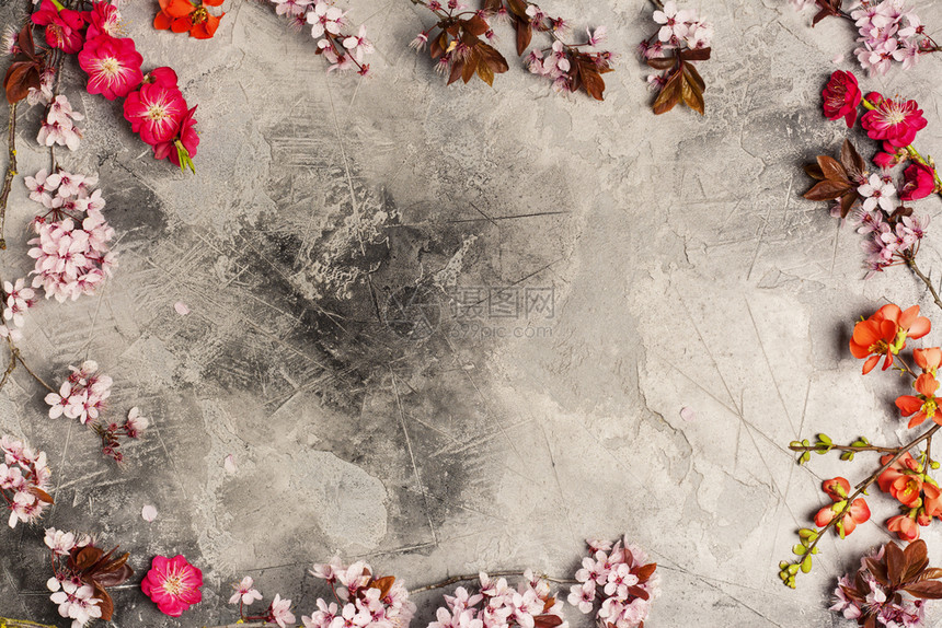春镜长年灰石本底有樱桃和花的树枝图片