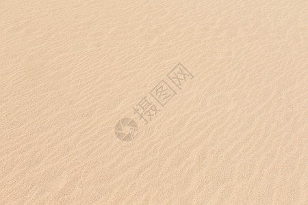 夏天沙的背景图片