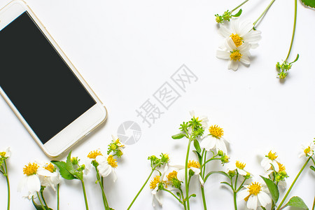 白背景孤立的野花和智能手机装饰图片