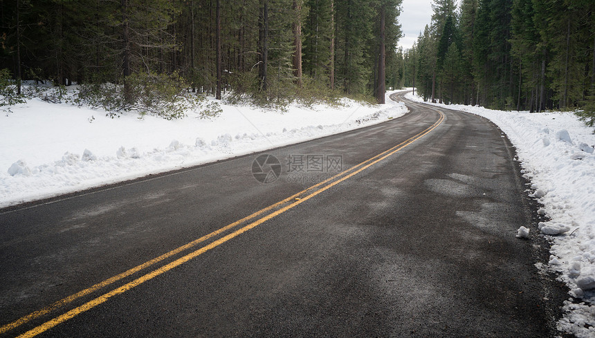 森林里道路正在干涸图片