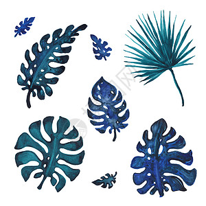 热带棕榈叶水彩色插图一套棕榈叶手画水彩图图片