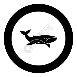 卡恰洛特鲸鱼剪影图标插画