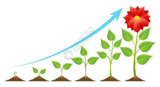 播种和生长植时间或生长阶段周期地面矢量图上的绿芽图片
