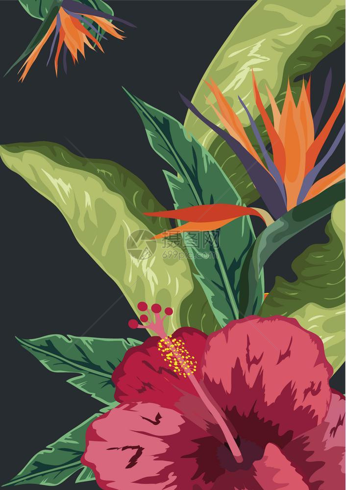 棕榈树和鲜花的热带背景图片