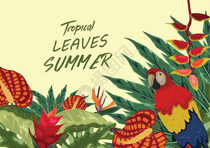 棕榈树鹦鹉和鲜花的热带背景图片