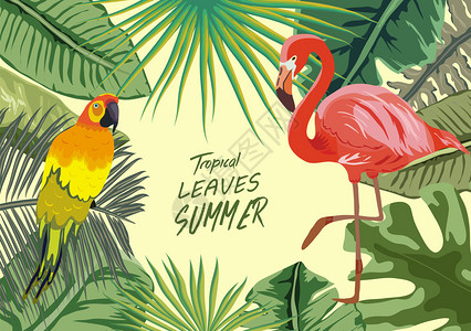 黄色火烈鸟热带雨林植物花鸟鲜flamamingo图坎边境背景插画