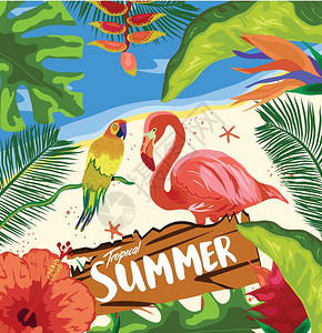 热带丛林雨植物花鸟鲜火烈土瓜边境背景插画