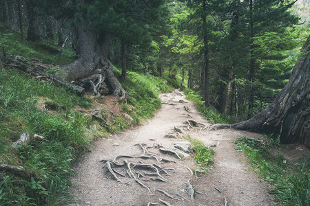 阿什维尔美国北卡罗来纳州阿巴拉契亚登山路背景