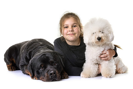 白色背景面前的年轻女孩和狗高清图片
