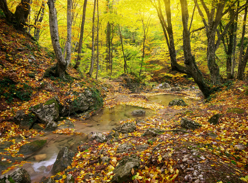秋季风景自然构成图片