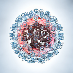 乙肝病毒C型肝炎C模3D例举背景