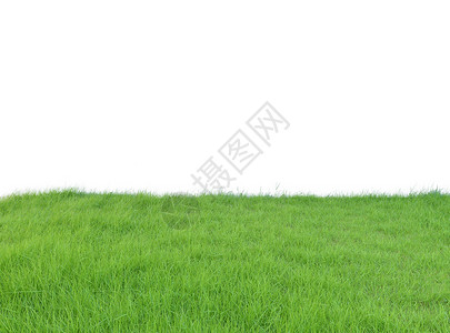 白色背景隔离的Lush绿草地白色背景隔离的剪贴片内部切路径白色背景隔离的Lush绿草地内部剪切路径背景图片