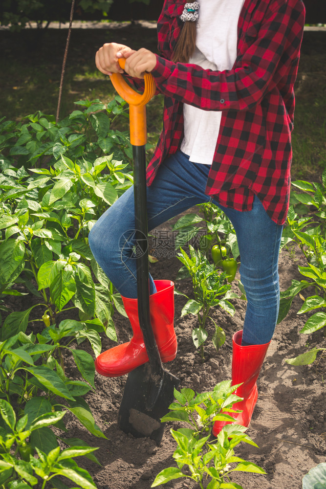 红色橡胶靴女青年在后院花园挖土的红色橡胶靴女青年近贴照片图片