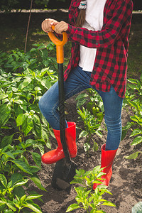 红色橡胶靴女青年在后院花园挖土的红色橡胶靴女青年近贴照片工作高清图片素材