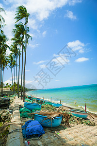 越南BinhThuan省MuiNe的蓝色天空和椰子美丽的海滩图片