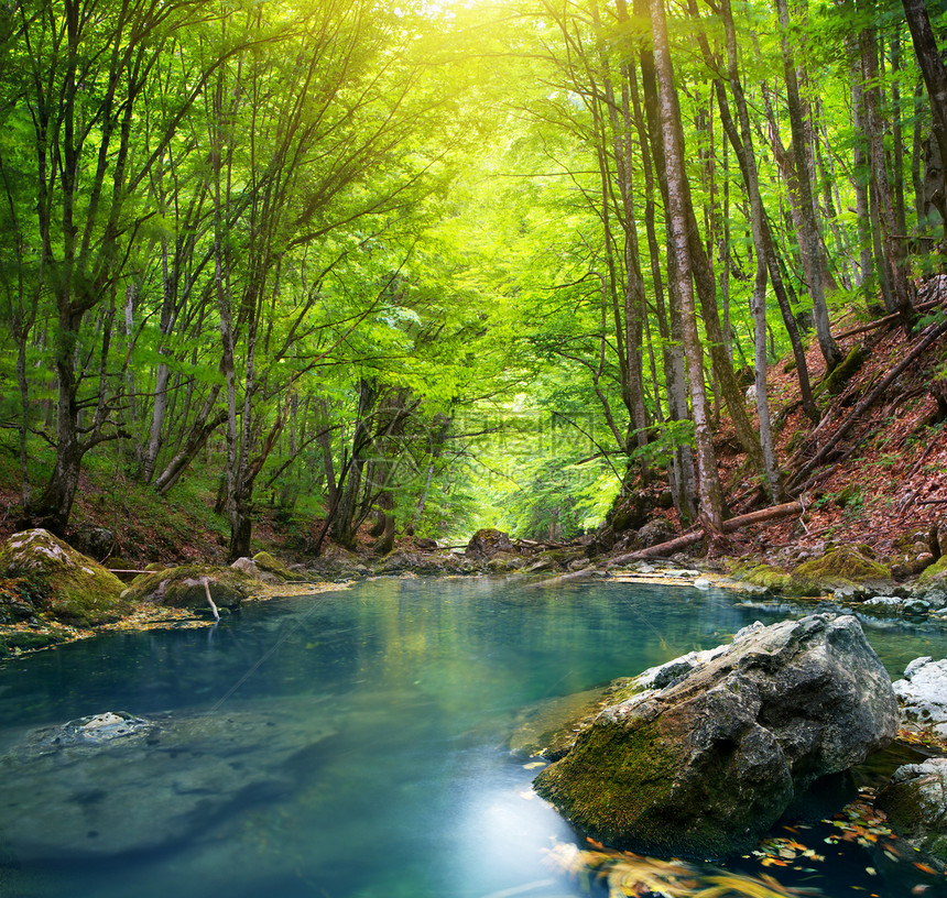 山林深处的河流自然构成图片