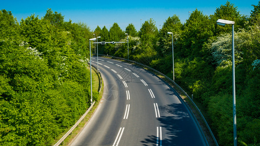 乡村公路旁有树木图片