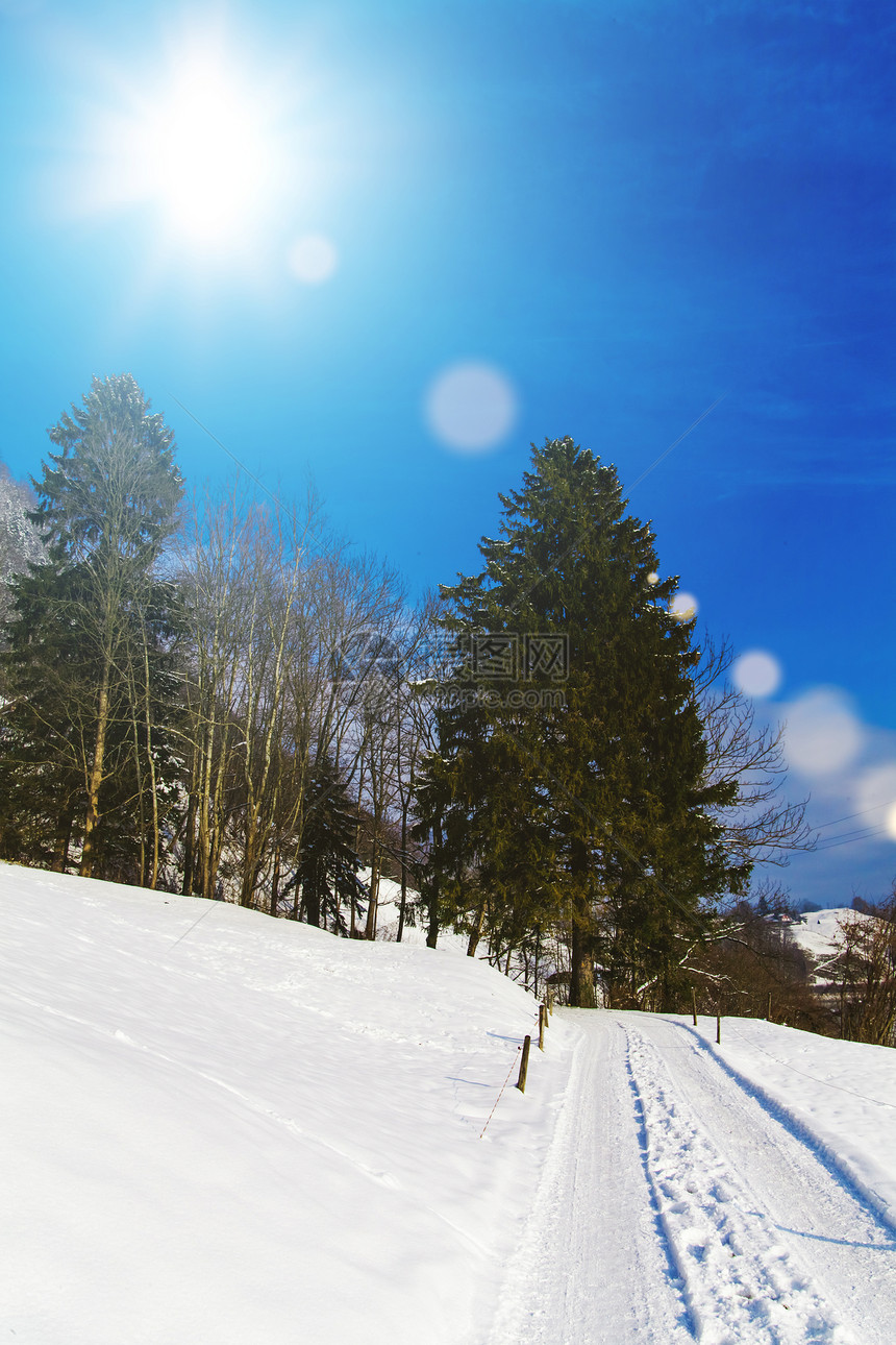 冬天有阳光的雪路冬天有阳光的雪路图片
