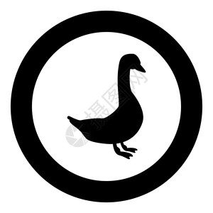 淡水鸟在圆矢量插图中显示鹅形标黑色颜插画