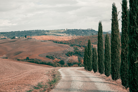 意大利托斯卡纳乡村公路意大利托斯卡纳山丘景观图片