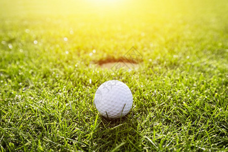 日落时球场的高尔夫专注高尔夫在草地上阳光图片