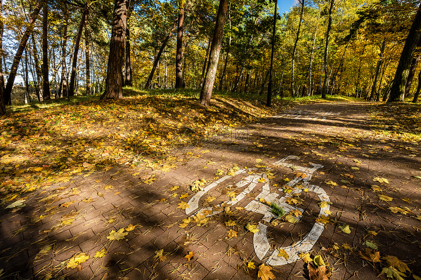 秋天在公园的自行车路牌上挂着多彩的落叶秋天在公园的自行车路牌上挂着满的落叶子自行车路牌图片