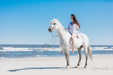 女孩坐在海边的白马上沙滩夏天骑马背景图片