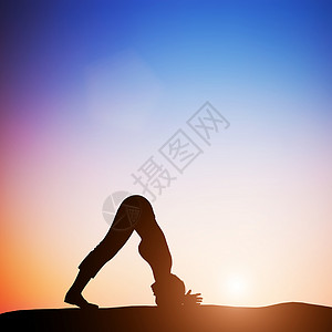 海豚瑜伽中的女子在日落时会沉思Zen冥想和平图片