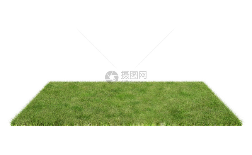 在白色背景上隔离的草原场3D插图图片