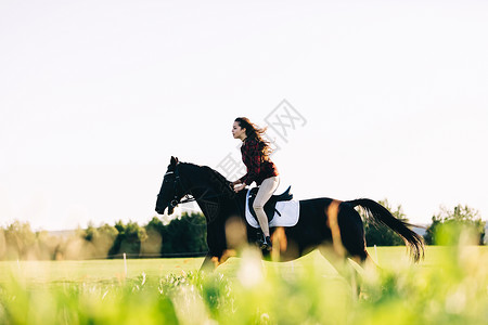 女孩骑着海马冲穿田野动物和自然骑着马高清图片