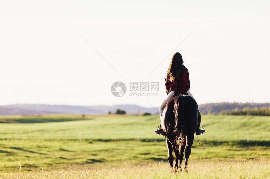 女孩坐在海湾马上骑草地动物和自然年轻的女孩坐在海湾马上骑田地图片