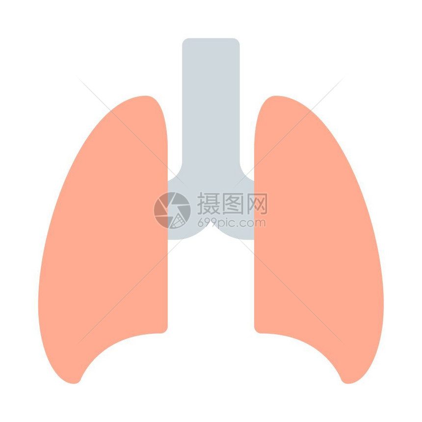 肺部图片