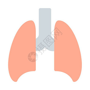 肺部背景图片