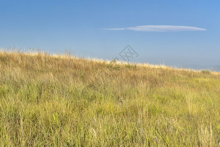 夏天中科罗拉多山丘的草原图片