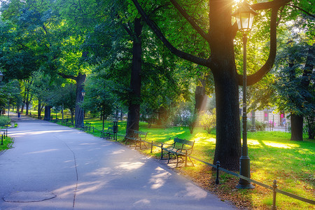 城市公园和娱乐区阳光明媚的清晨绿草坪和树木图片