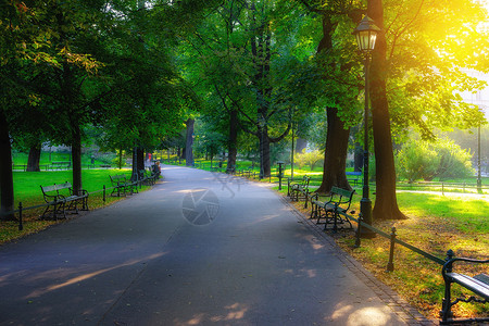 城市公园和娱乐区阳光明媚的清晨绿草坪和树木图片