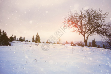 美丽的冬季风景戏剧暴风雪天气美丽的冬季世界图片