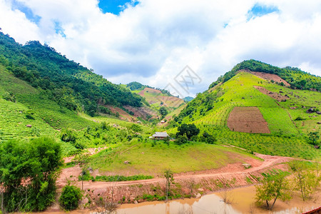 越南北部平坦的景观越南SonLa省MocChauPlateau图片