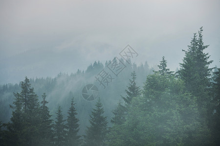 在多云雨的黑暗气候下绿山林背景图片
